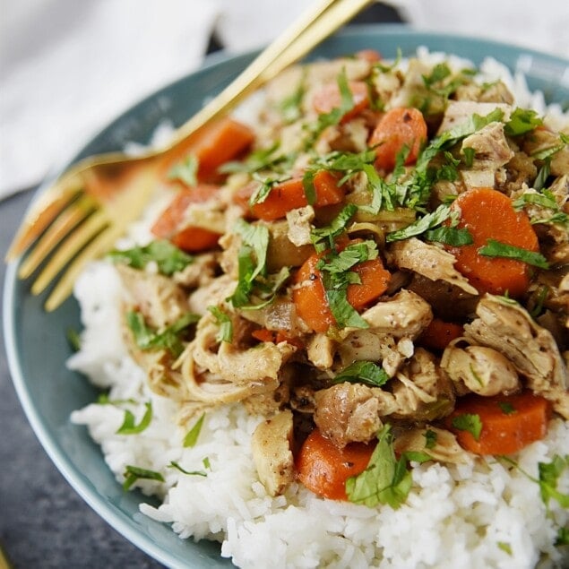 bowl of chicken curry over rice