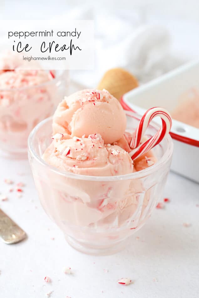 Peppermint Ice Cream Recipe by Leigh Anne Wilkes