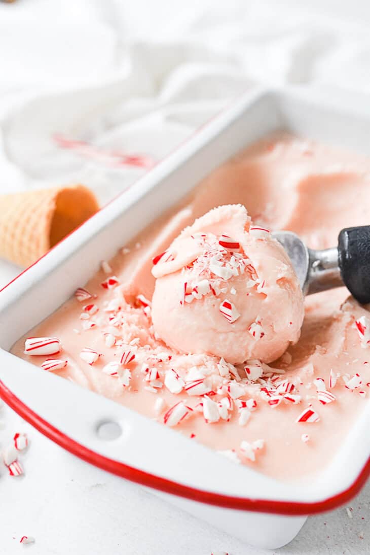 Peppermint Ice Cream Recipe by Leigh Anne Wilkes