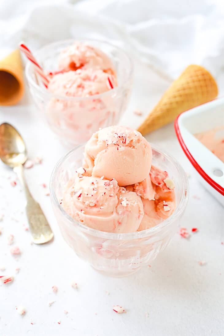 Peppermint Ice Cream Recipe by Leigh Anne Wilkes