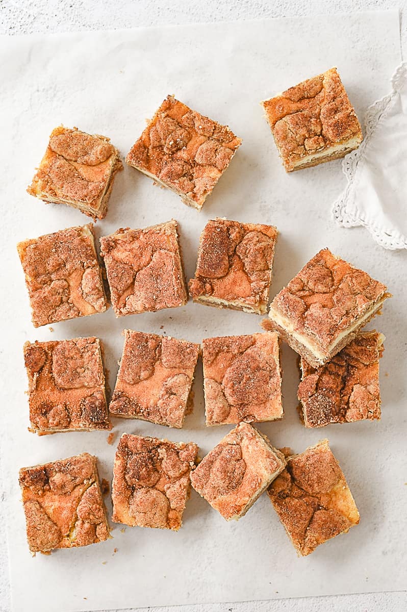 overhead shot of snickerdoodle blondies