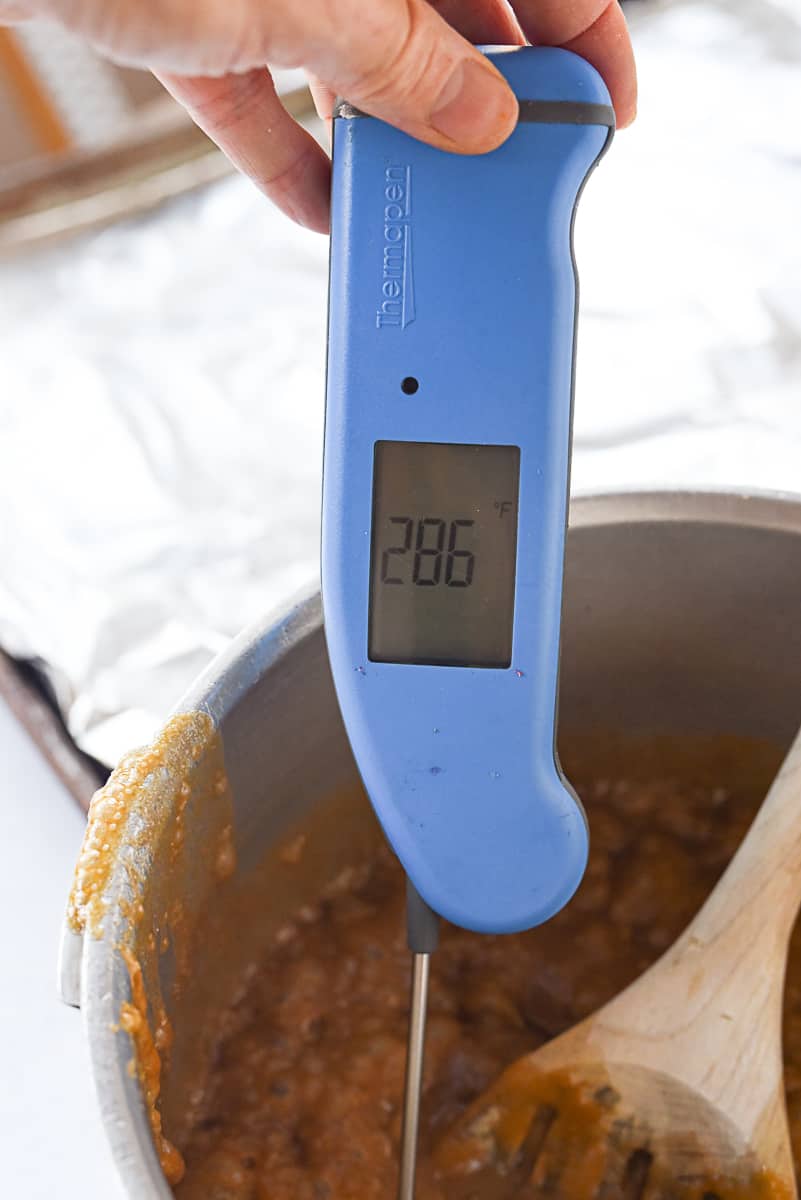 candy thermometer