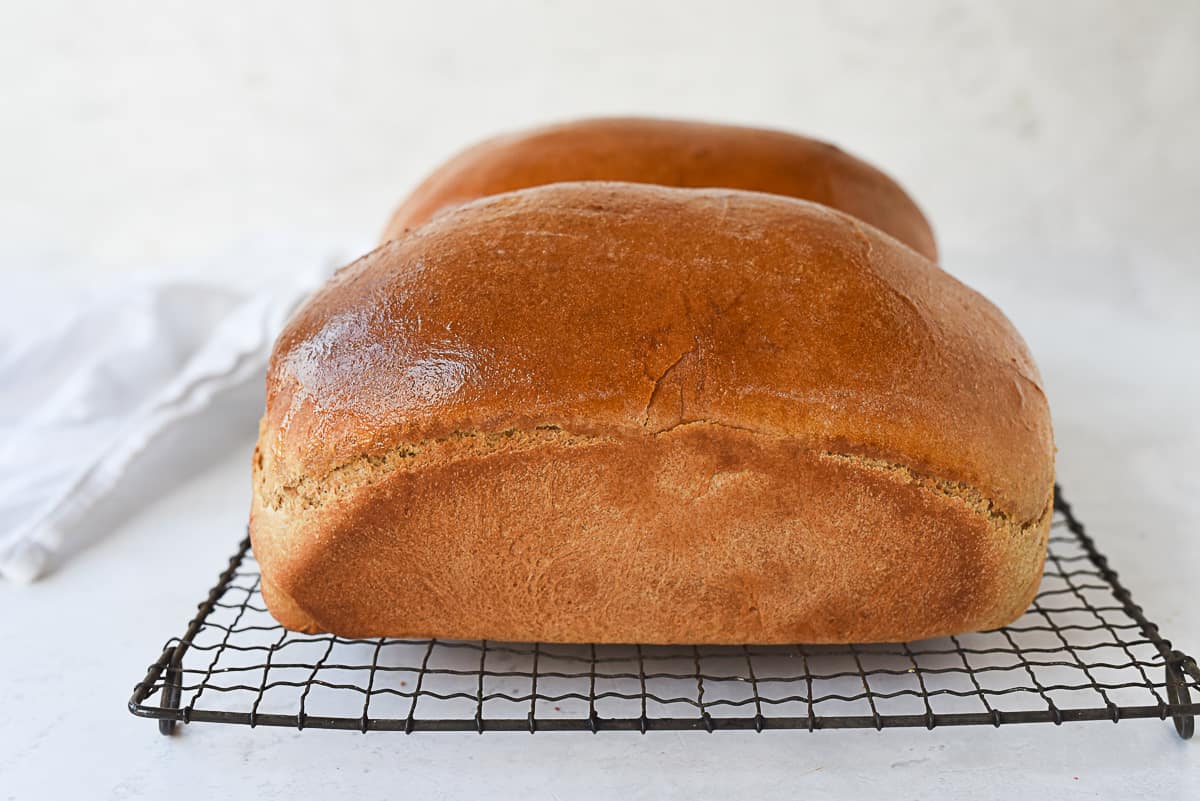 side view of loaf of whole wheat bread