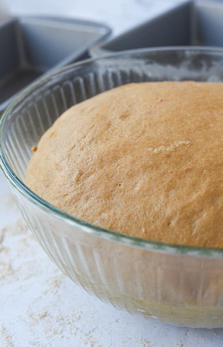 dough rising in a bowl.