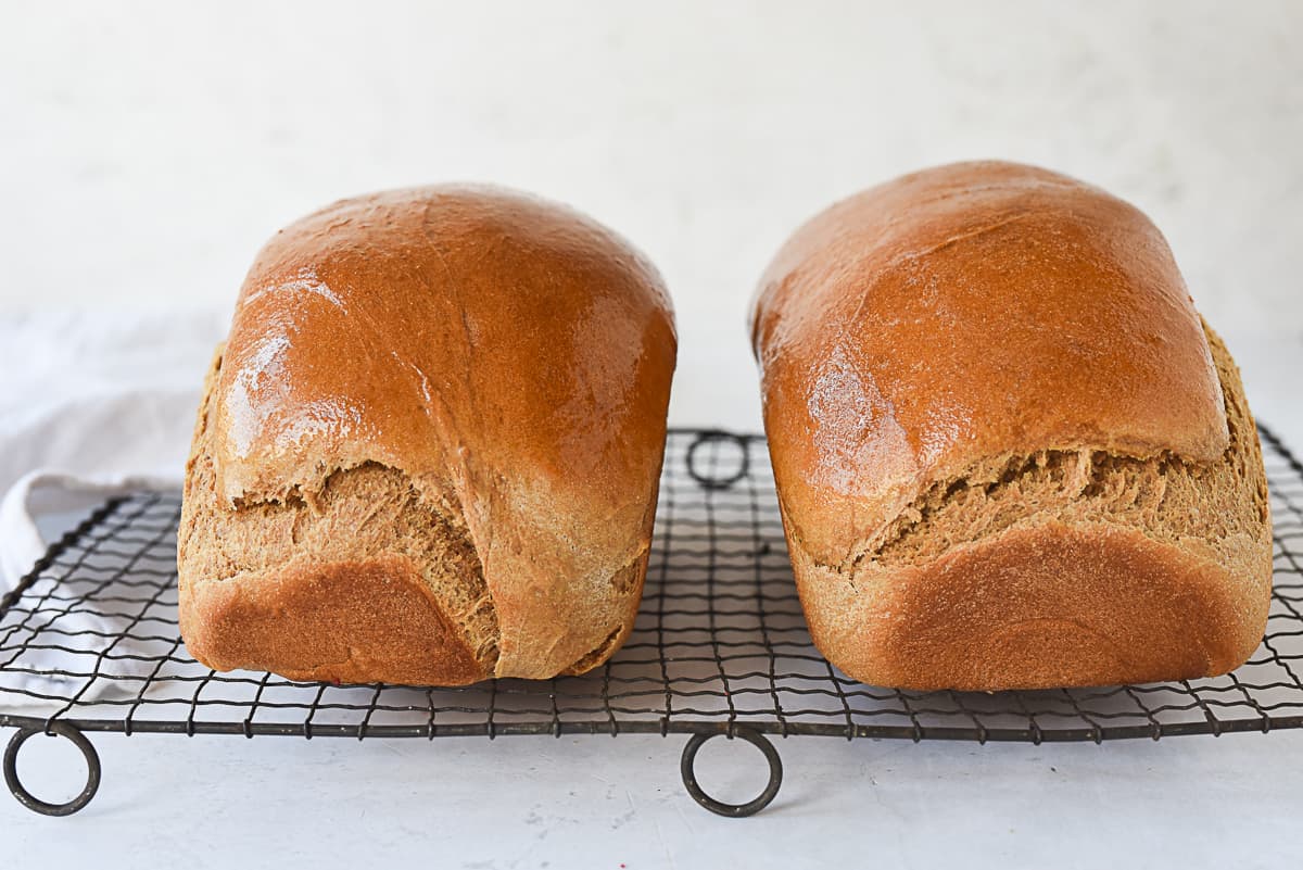 TWO LOAVES OF WHOLE WHEAT BREAD