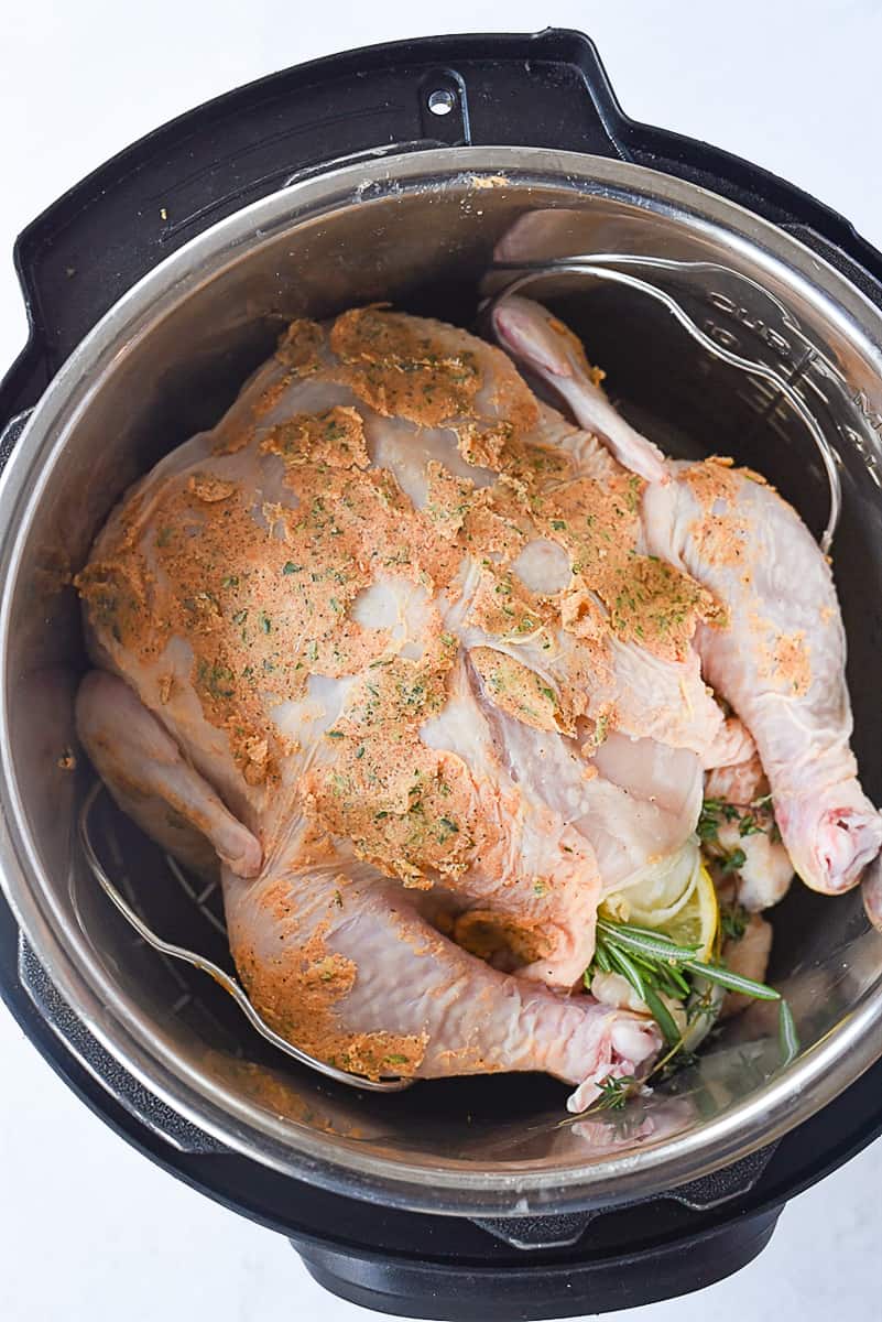 chicken inside of instant pot.