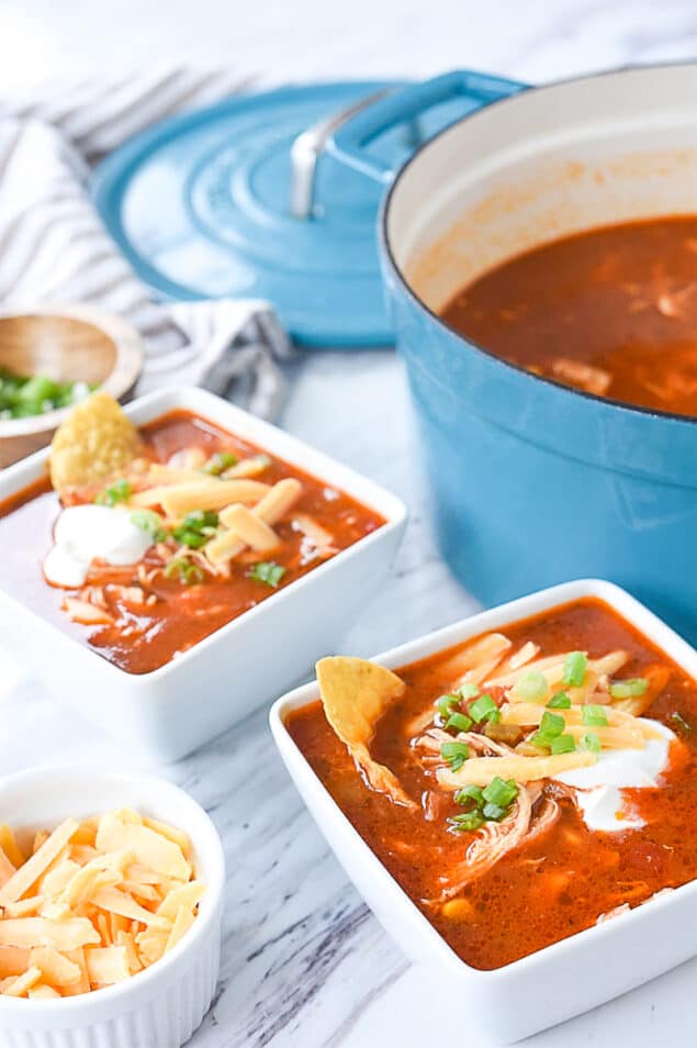 Chicken Enchilada Soup Recipe by Leigh Anne Wilkes