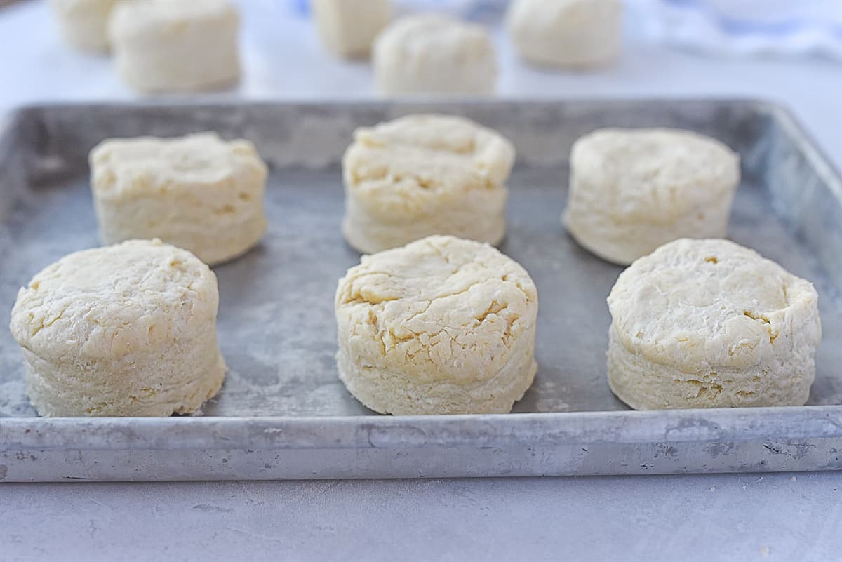 biscuits on a baking sheet