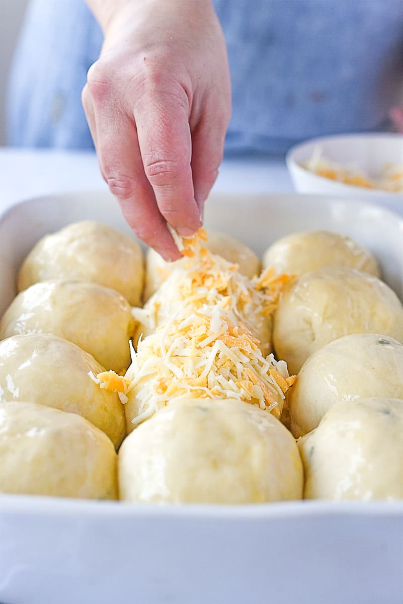 adding cheese to rolls