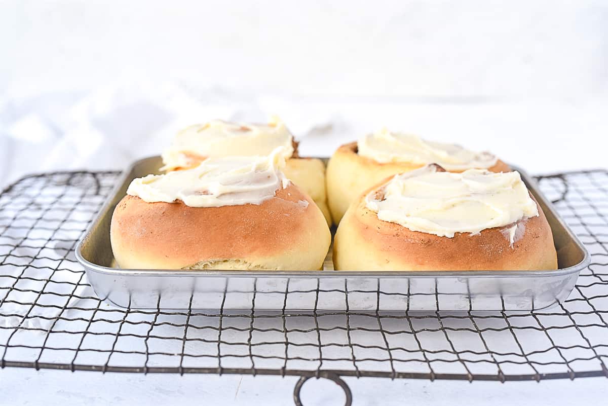 pan of four cinnamon rolls