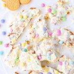 broken pieces of easter bark