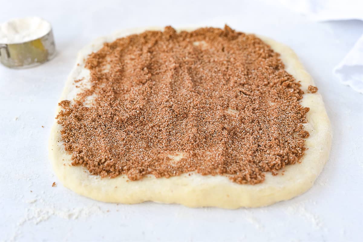cinnamon roll mixture on dough