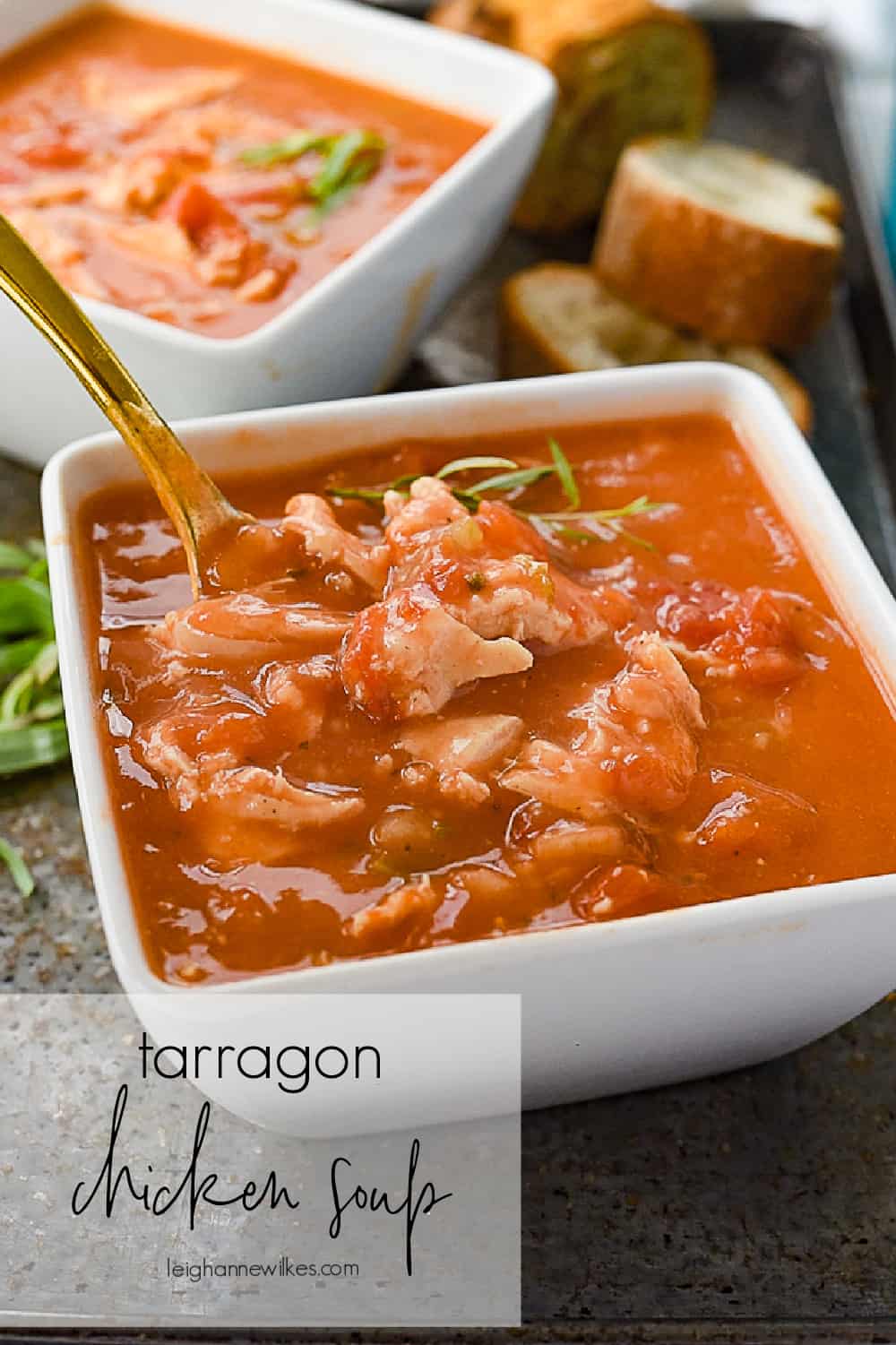 Tarragon Chicken Soup Recipe by Leigh Anne Wilkes