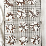 overhead shot of chocolate crinkle cookies