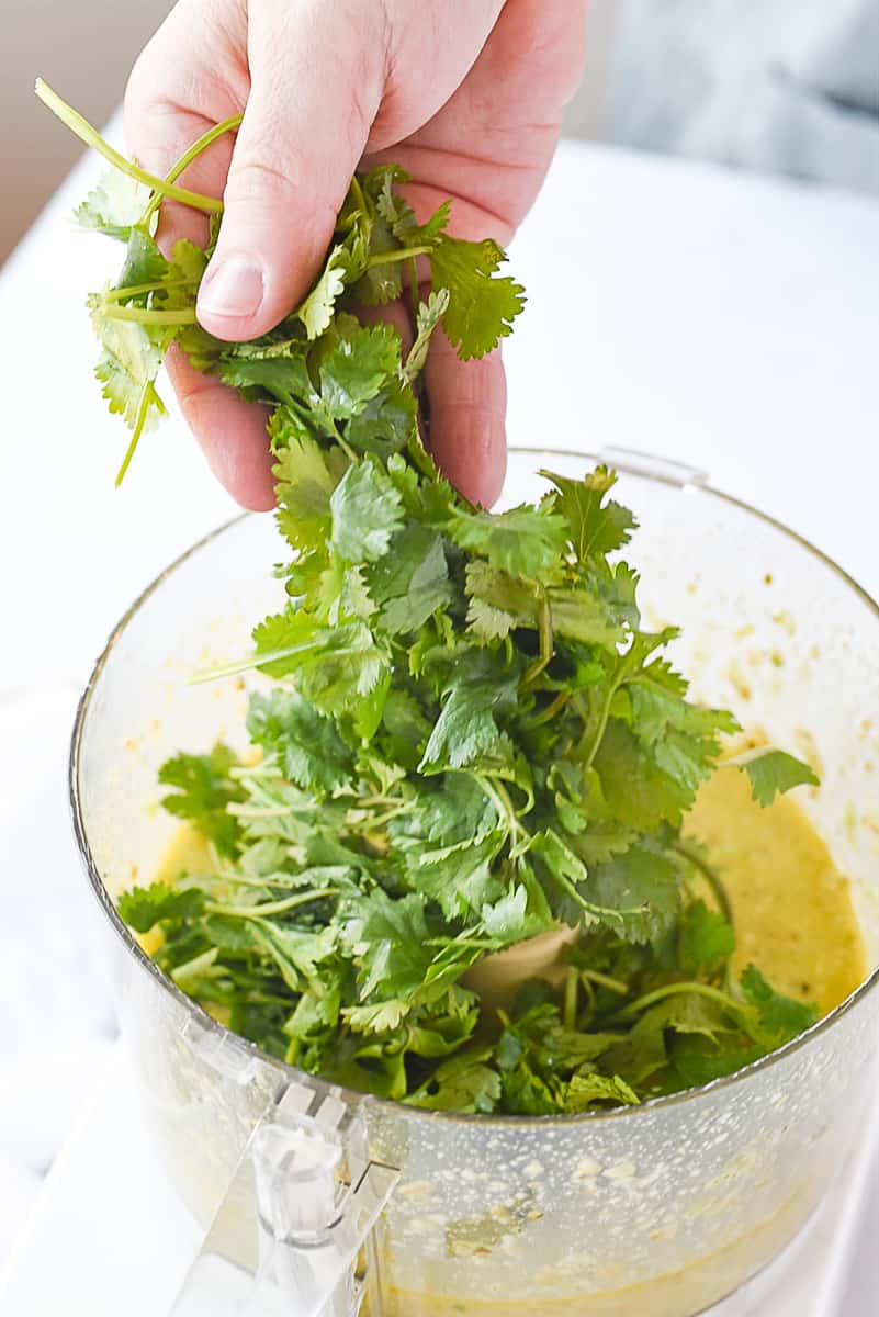 adding cilantro to food processor