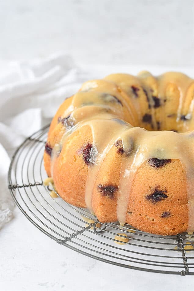 Blueberry Coffee Cake Recipe by Leigh Anne Wilkes
