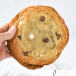 Hand holding a chocolate chip cookie