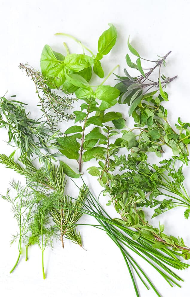 Cooking with Fresh Herbs {Recipes and Tips} by Leigh Anne Wilkes