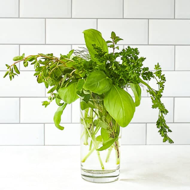 bouquet of fresh herbs in a glass