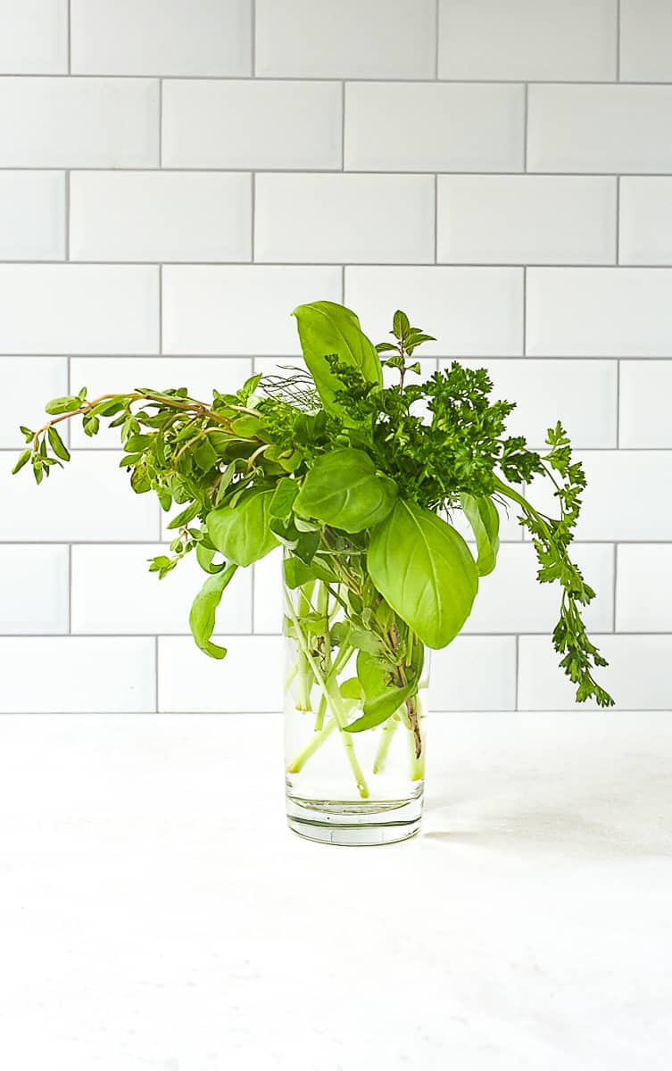 bouquet of fresh herbs in a glass