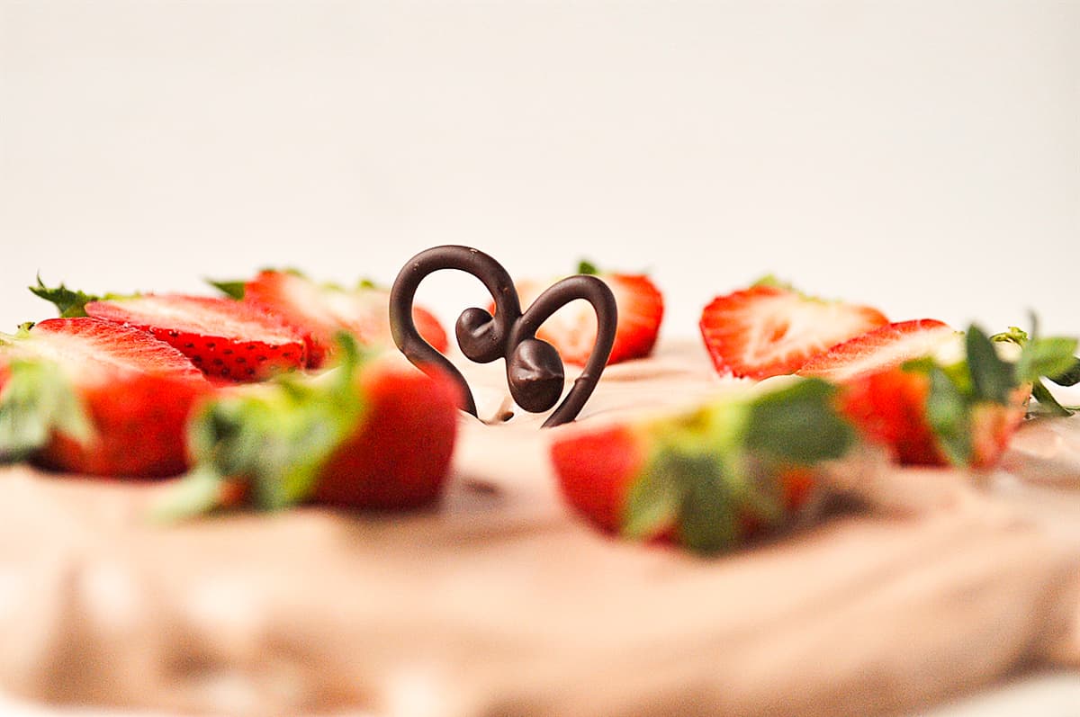 chocolate garnish on dessert