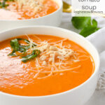 Fresh Tomato SOup