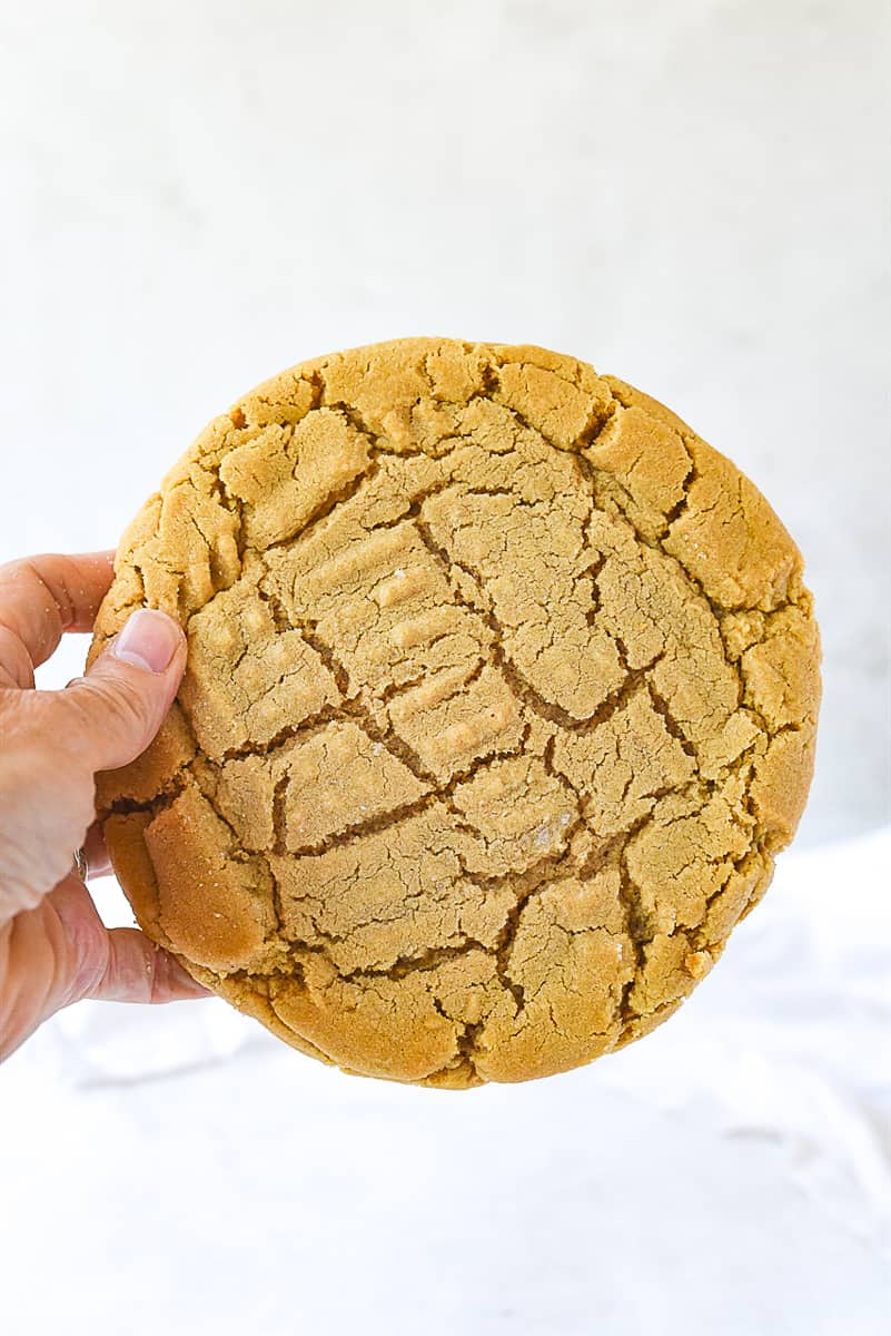giant chocolate chip cookie hand holding a giant peanut butter cookie