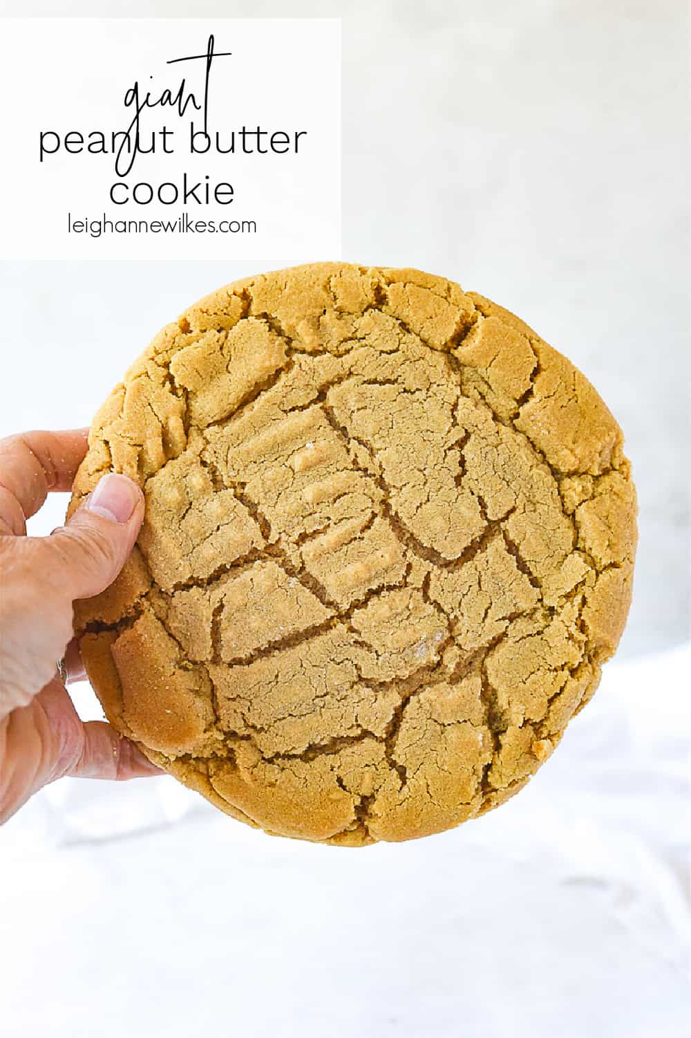 Giant Peanut Butter Cookie Recipe by Leigh Anne Wilkes