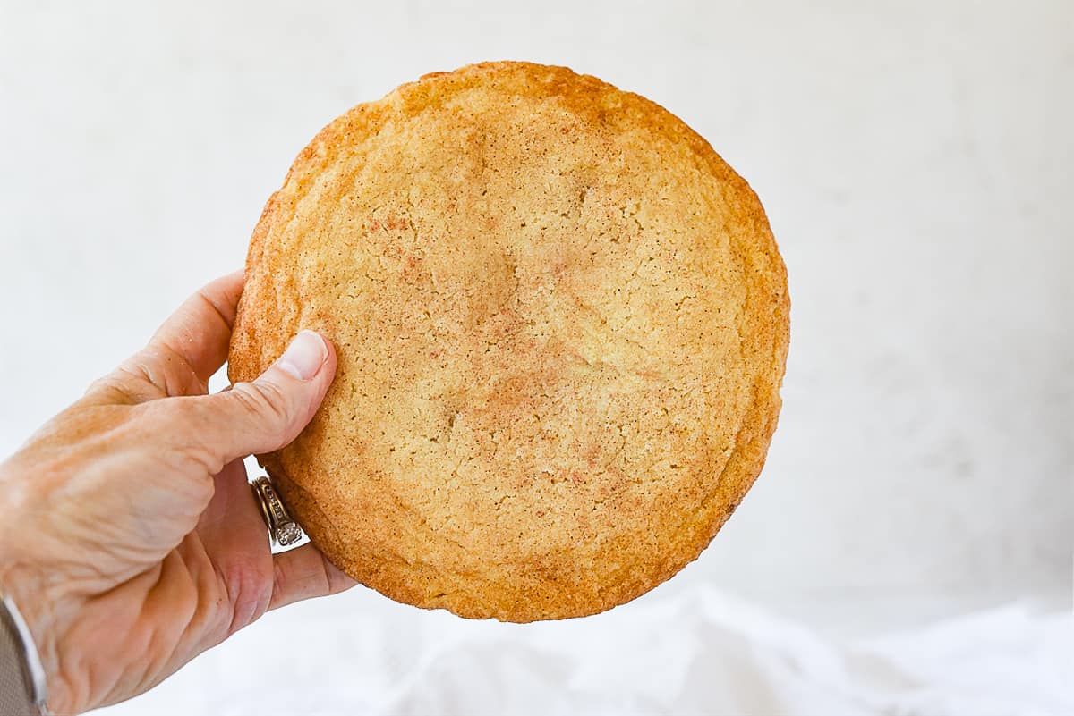 holding a snickerdoodle cookie