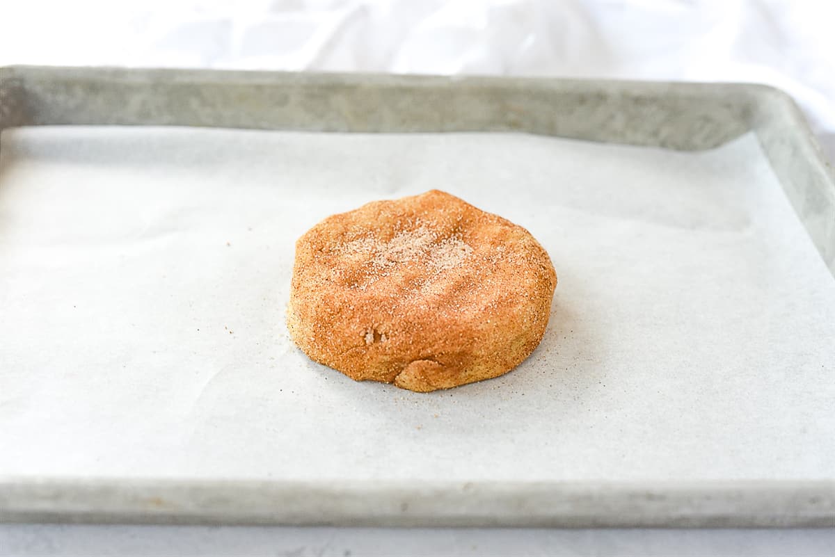 disc of dough on baking sheet