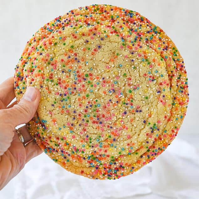 hand holding sugar cookie with sprinkles