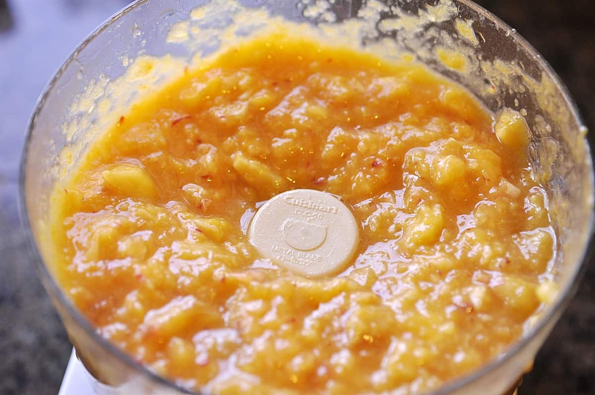 fruit blended in food processor