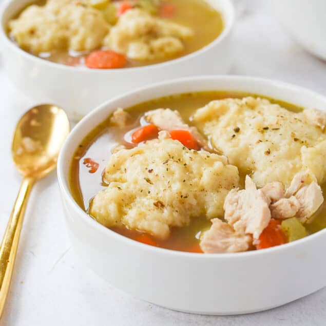 chicken and dumplings in two bowlsl