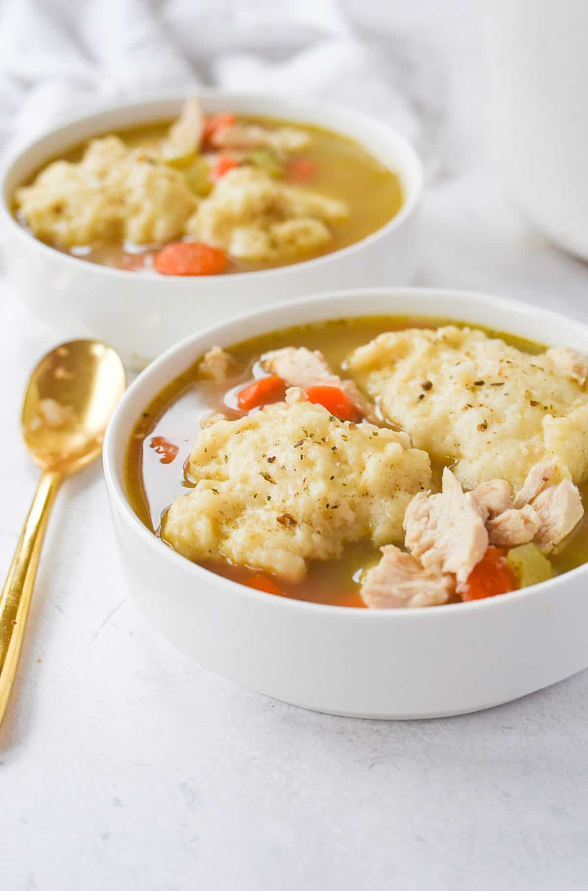chicken and dumplings in two bowlsl