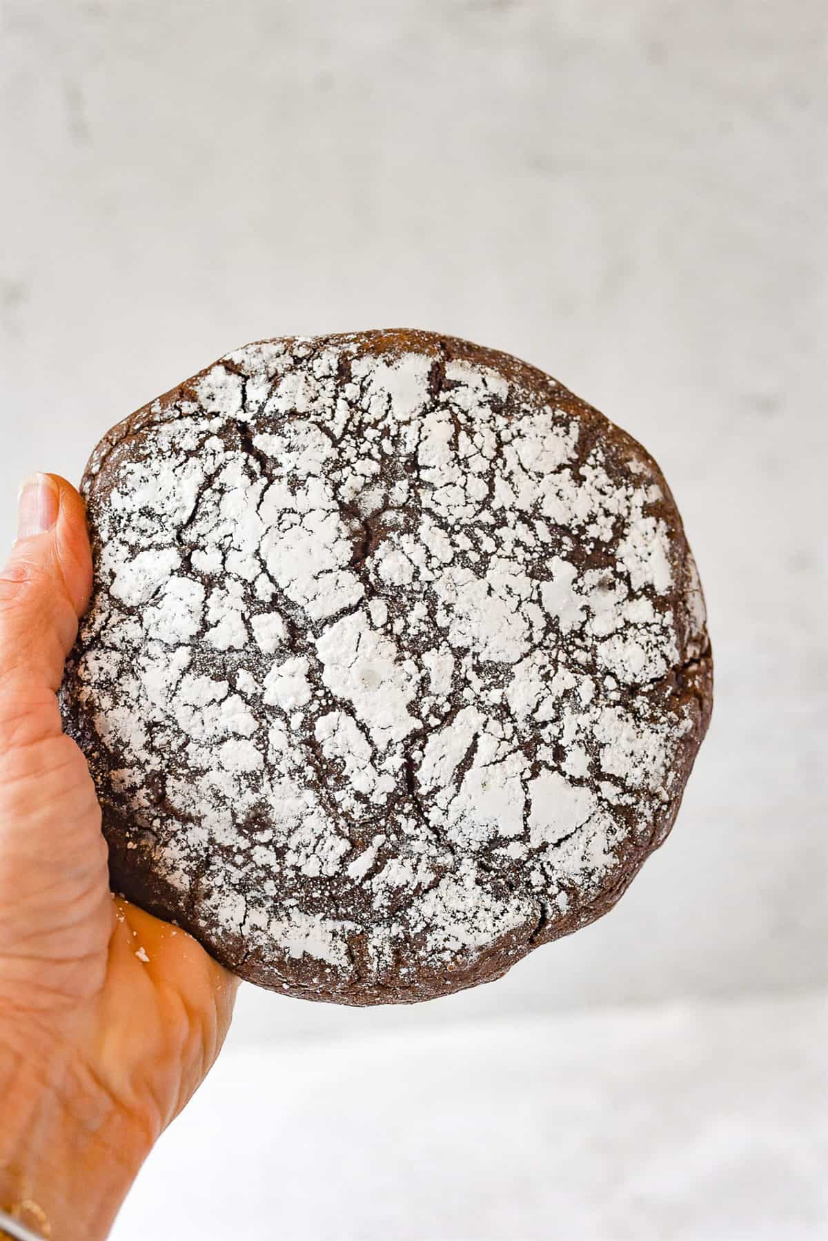 hand holding a giant  chocolate crinkle cookie