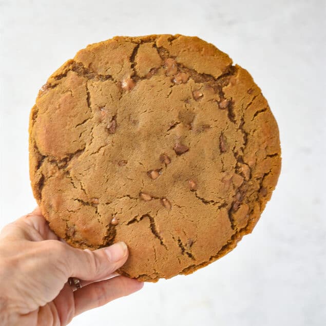 hand holding giant gingersnap cookie