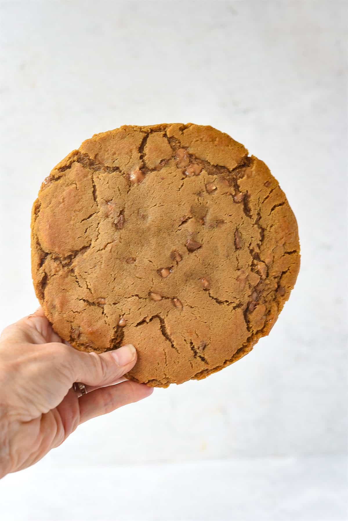 hand holding giant gingersnap cookie