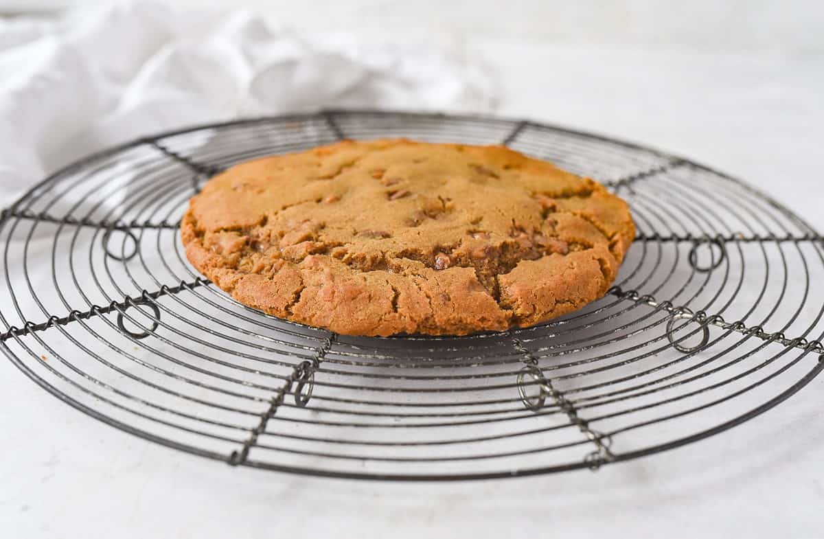 molasses cookie on a cooling rack