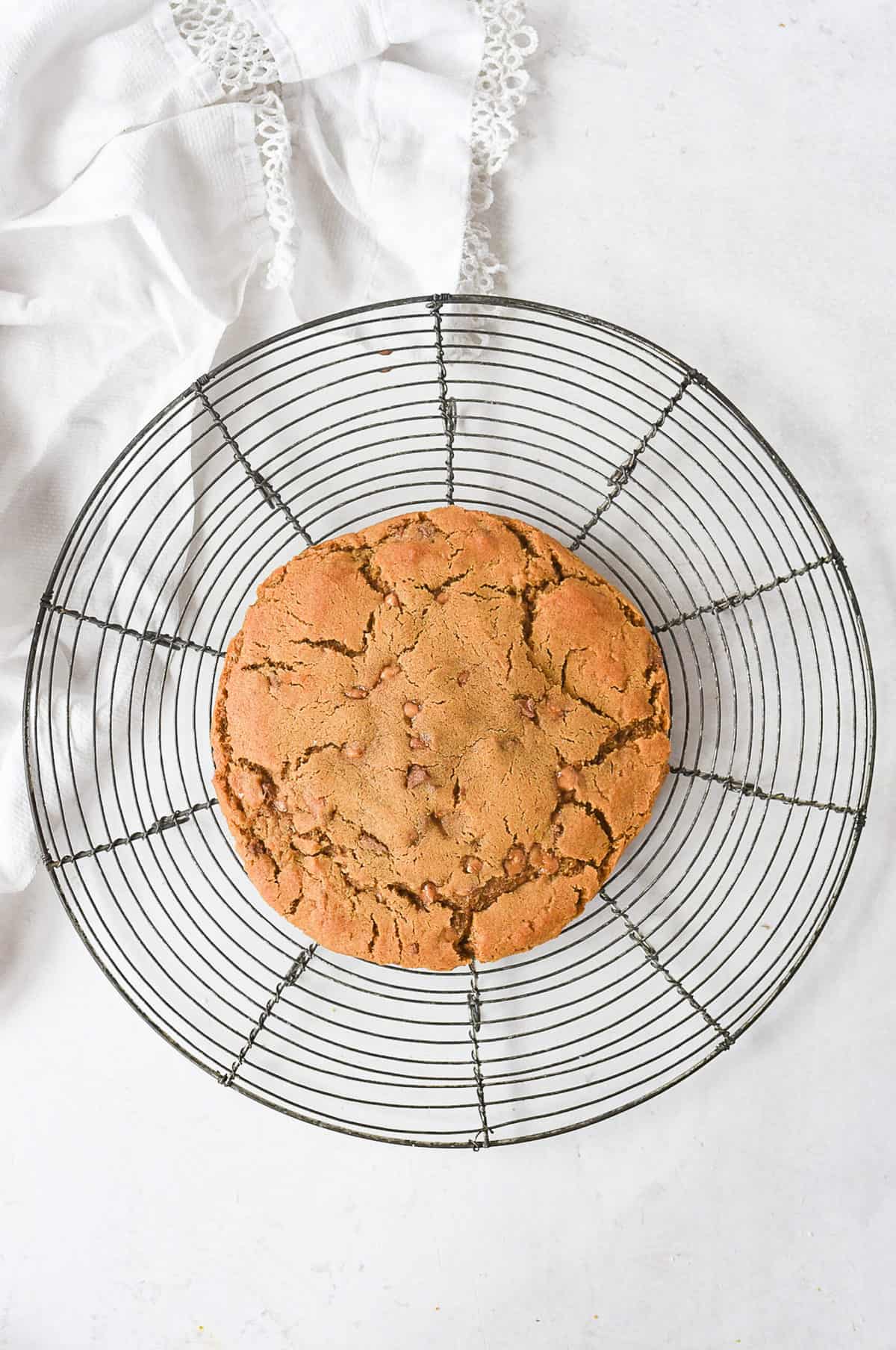 overhead shot of a giant gingersnap cookie