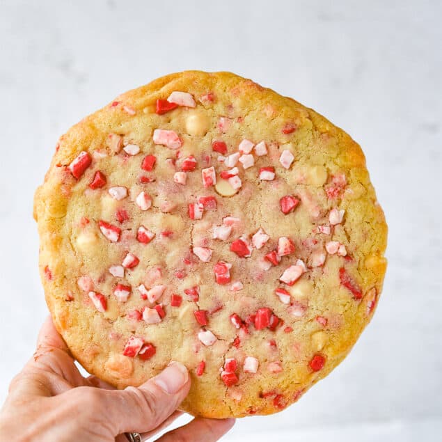 hand holding giant white chocolate peppermint cookie