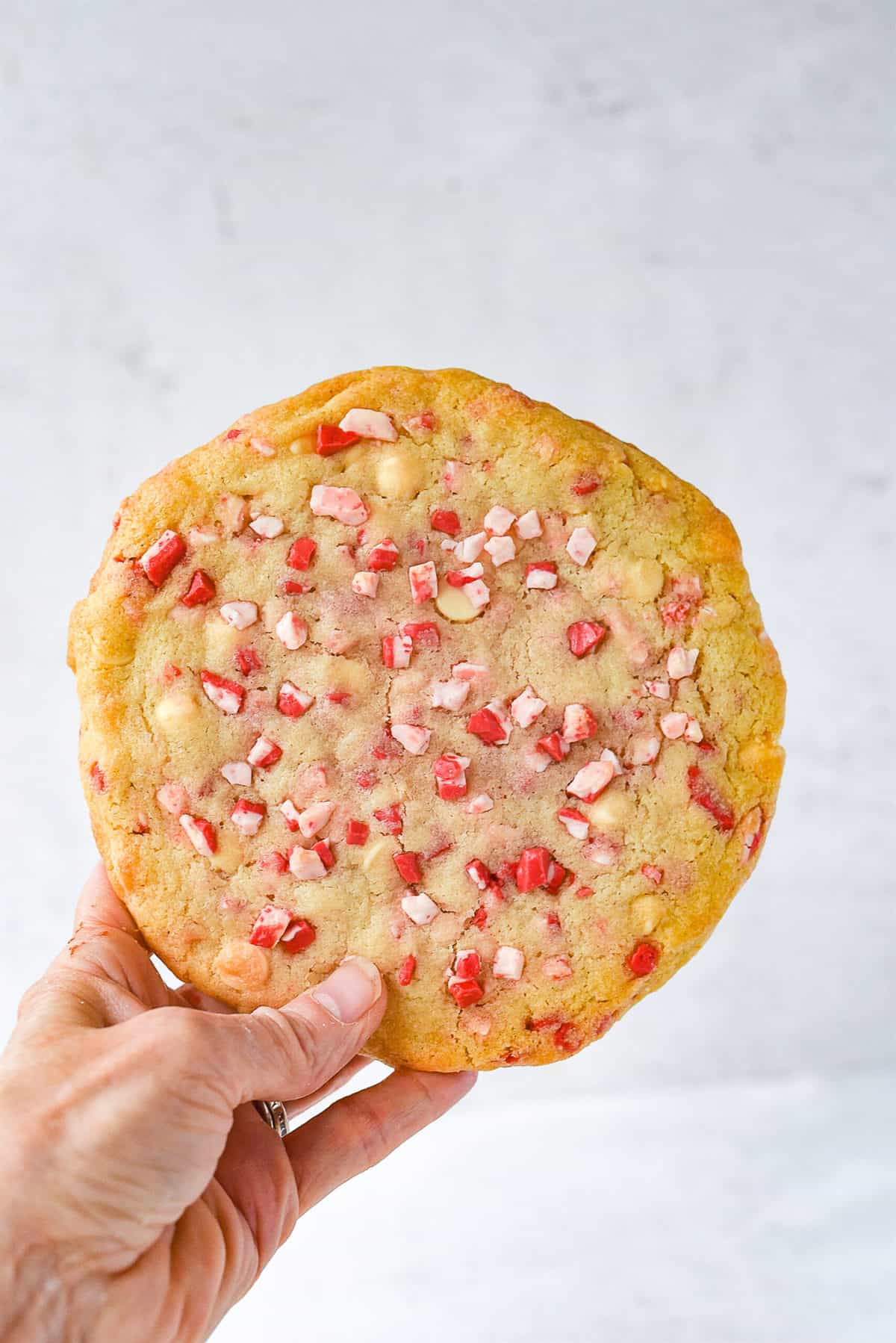 hand holding giant white chocolate peppermint cookie