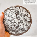 GIANT CHOCOLATE CRINKLE COOKIE IN A HAND