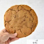 hand holding a giant gingersnap molasses coolie