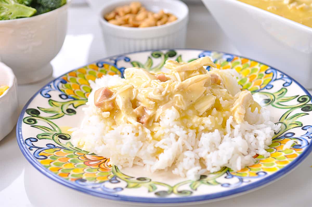 rice and chicken gravy on a plate