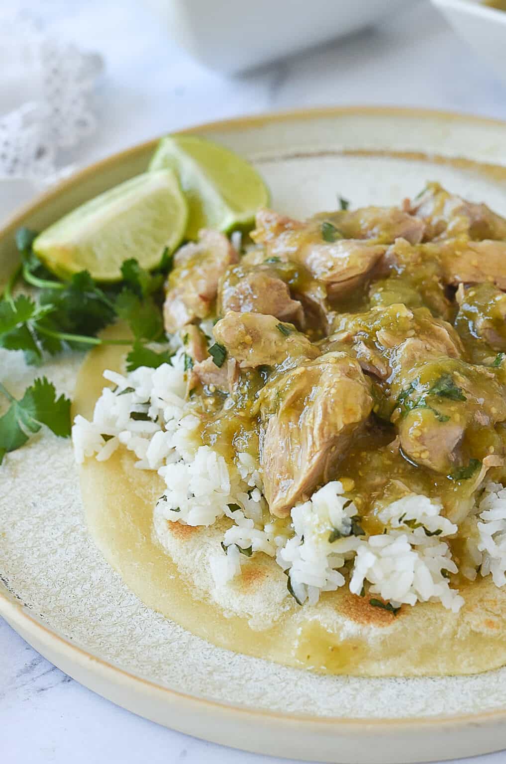 Slow Cooker Chile Verde Leigh Anne Wilkes