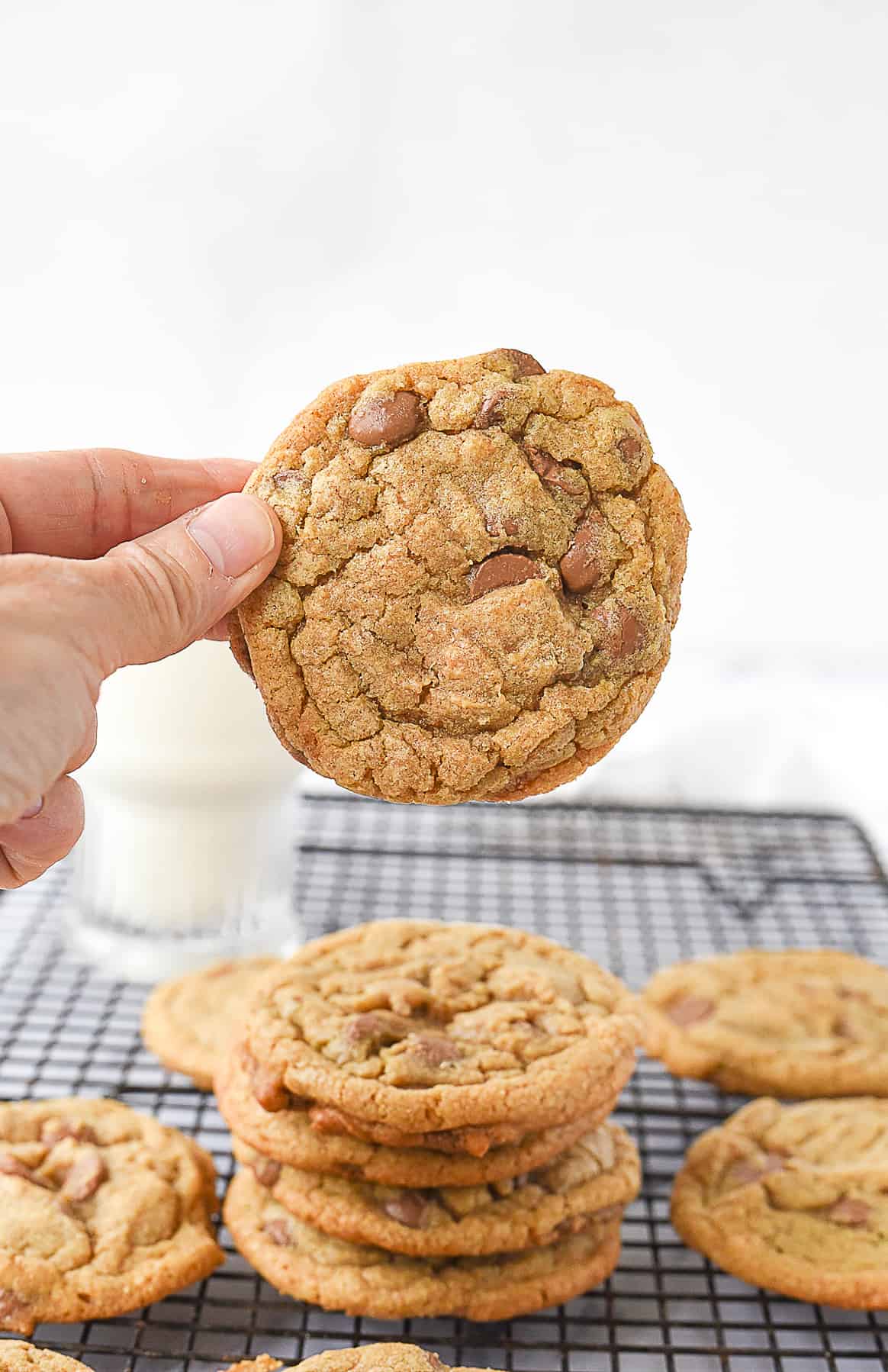 hand holding a cookie