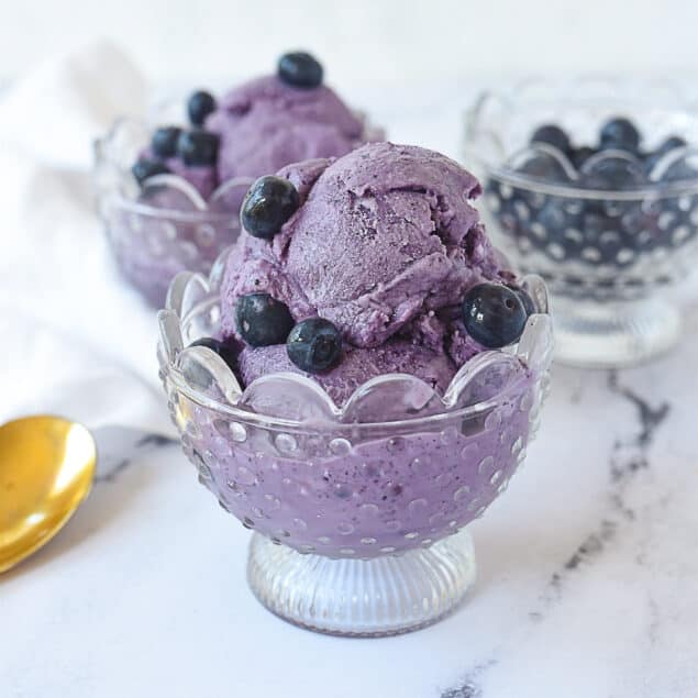 dish of blueberry ice cream