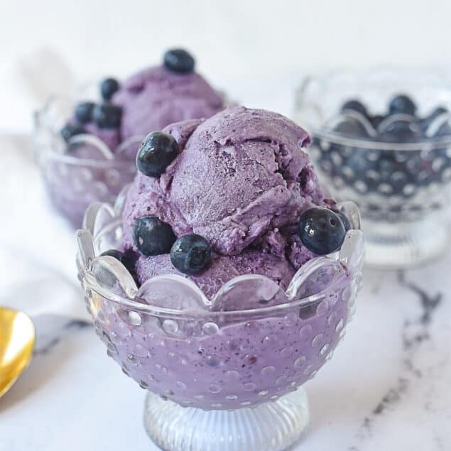 bowl of blueberry ice cream