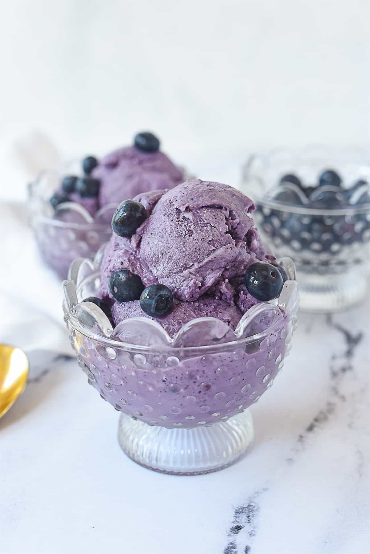 bowl of blueberry ice cream