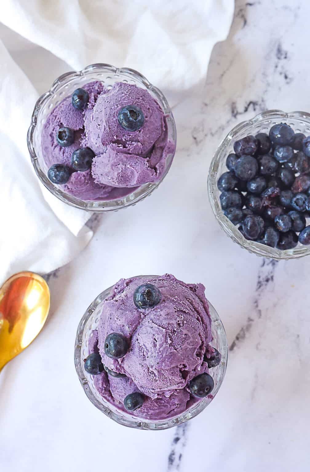 Fresh Blueberry Ice Cream Recipe by Leigh Anne Wilkes